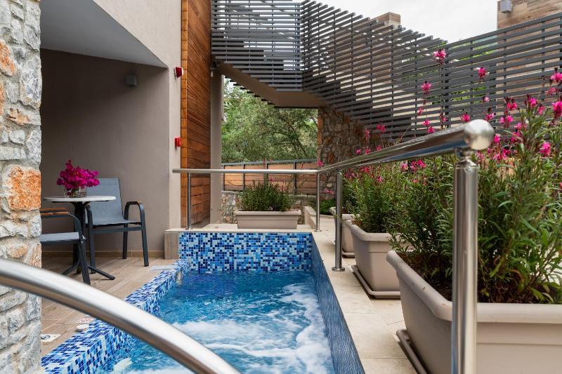 Deluxe Double Room with Plunge Pool - Mountain & Pool View image 2
