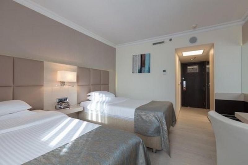 Busines Twin Room image 1
