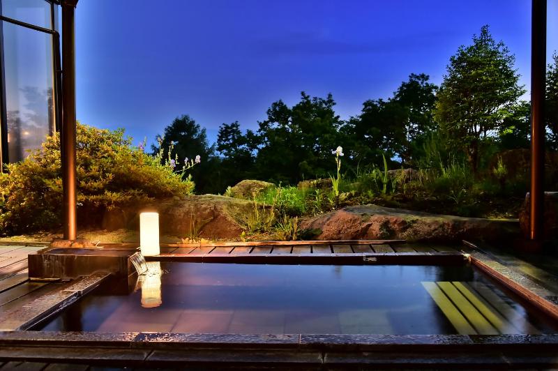 Tateshina Park Hotel - image 35