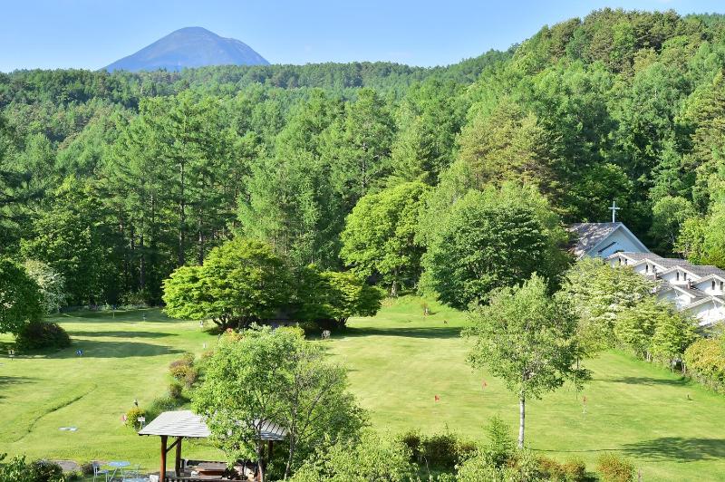 Tateshina Park Hotel - image 26