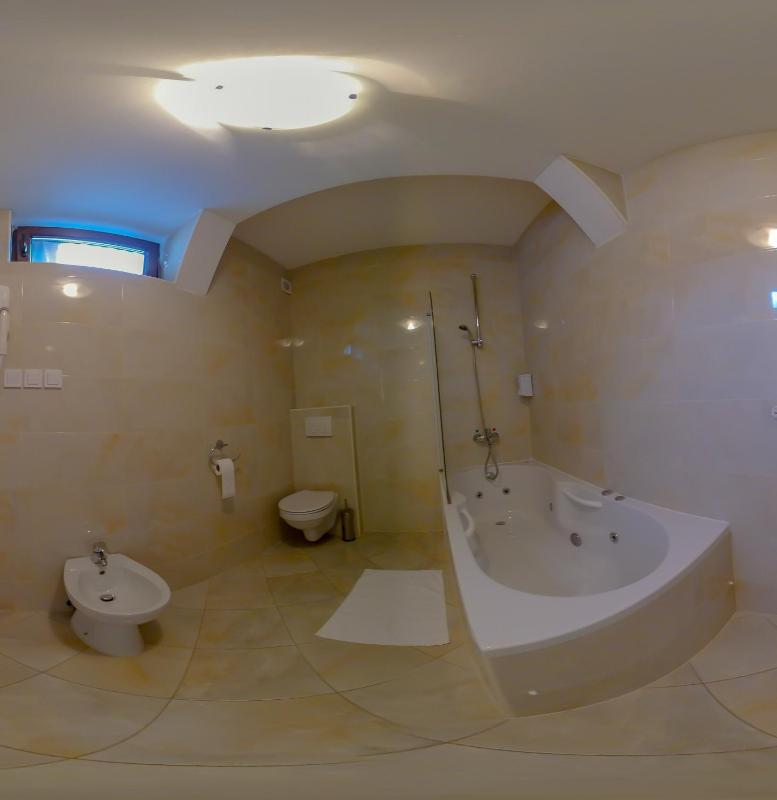 Deluxe Single Room image 3
