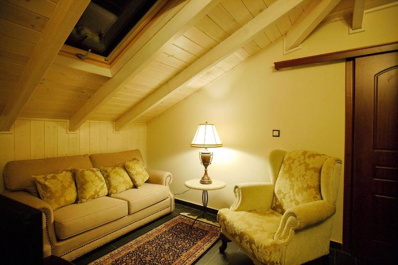 Superior Suite with Sauna use image 2