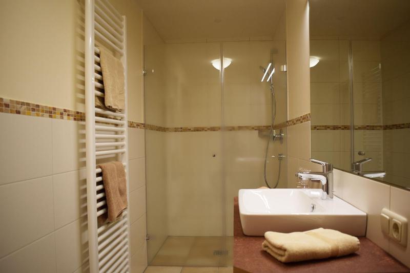 Apartment 5 image 4