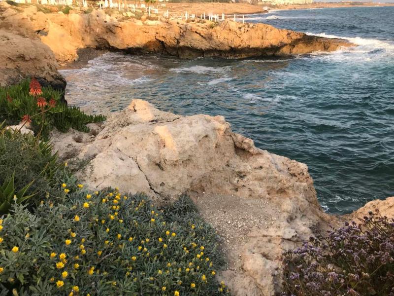Ikaria Village Apt 201 - image 10