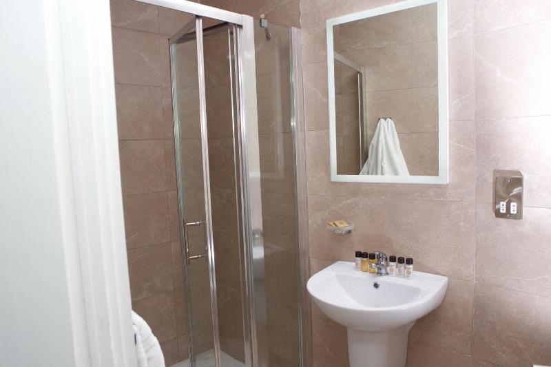 Deluxe Double or Twin Room image 2
