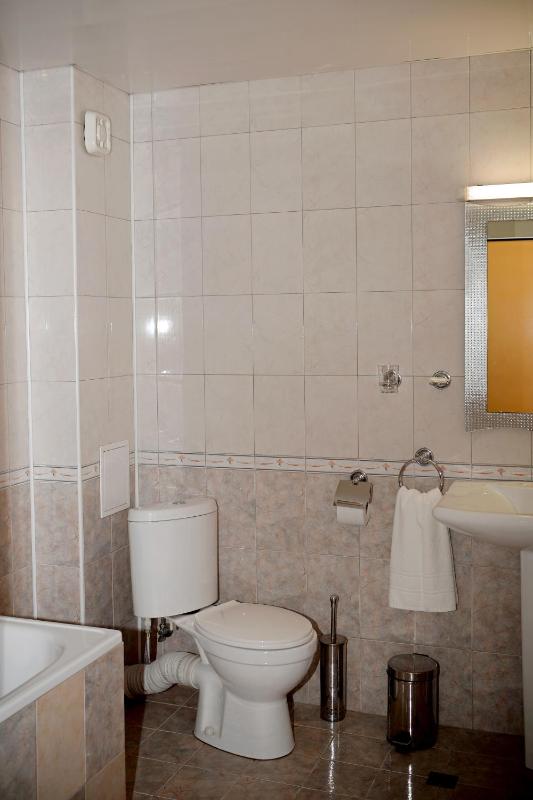 Double or Twin Room image 1