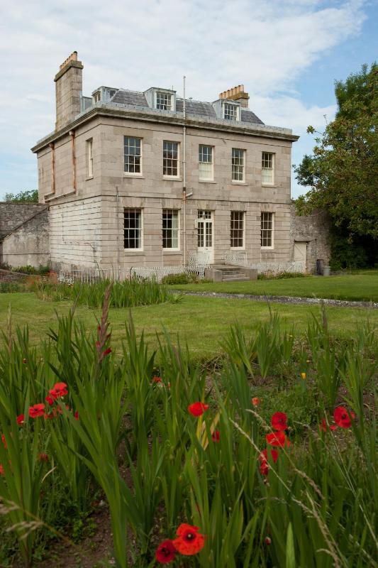 Family Suite image 3