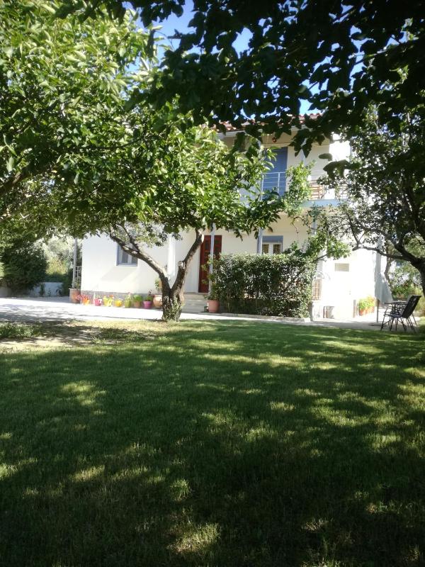 Rastoni Guest House Skopelos - image 20