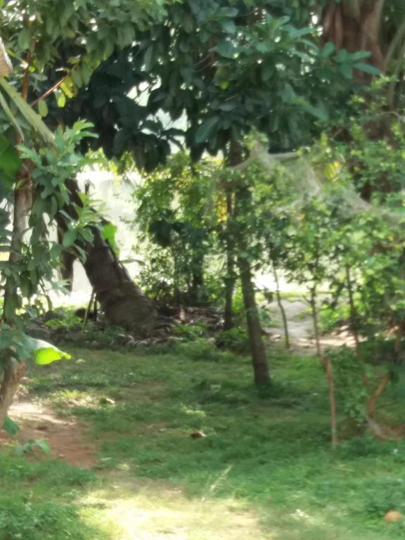 Ishitha Homestay - image 8