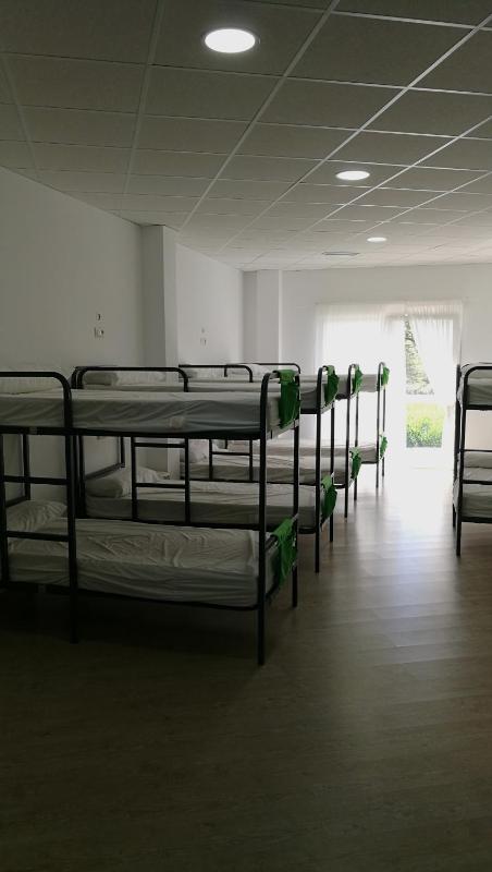 Bunk Bed in Mixed Dormitory Room image 1