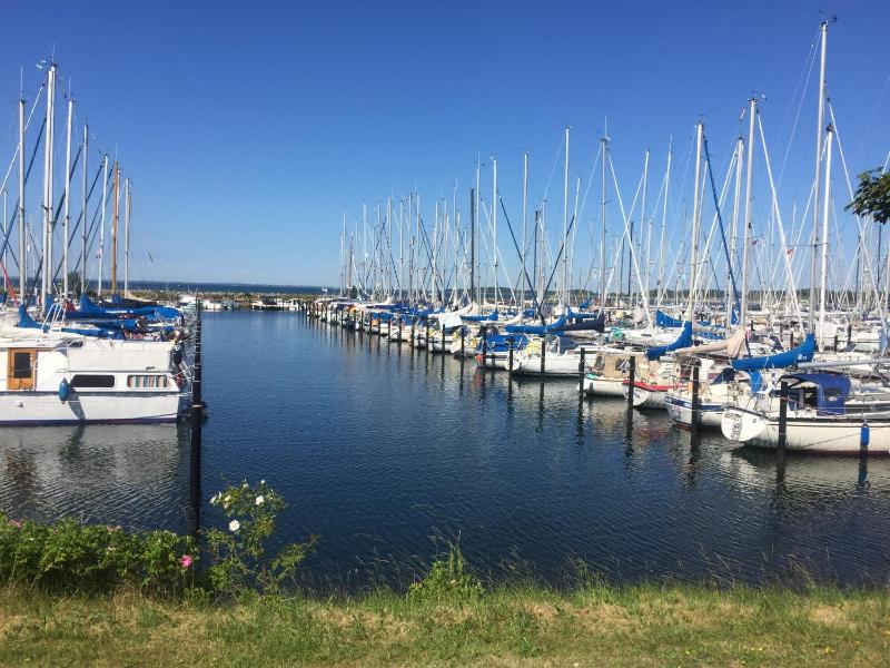 Mein-Ostseeplätzchen - image 50