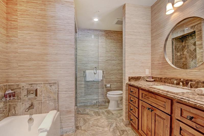 3 BR Luxury Ritz-Carlton Condo with Mountain Views - image 19