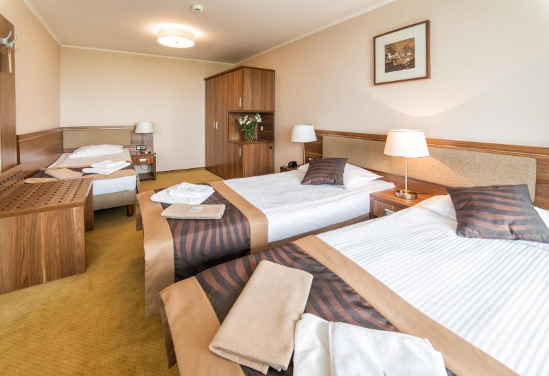 Deluxe Double Room with Extra Bed image 1