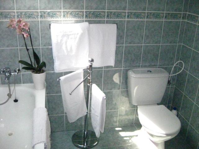 One-Bedroom Apartment image 2