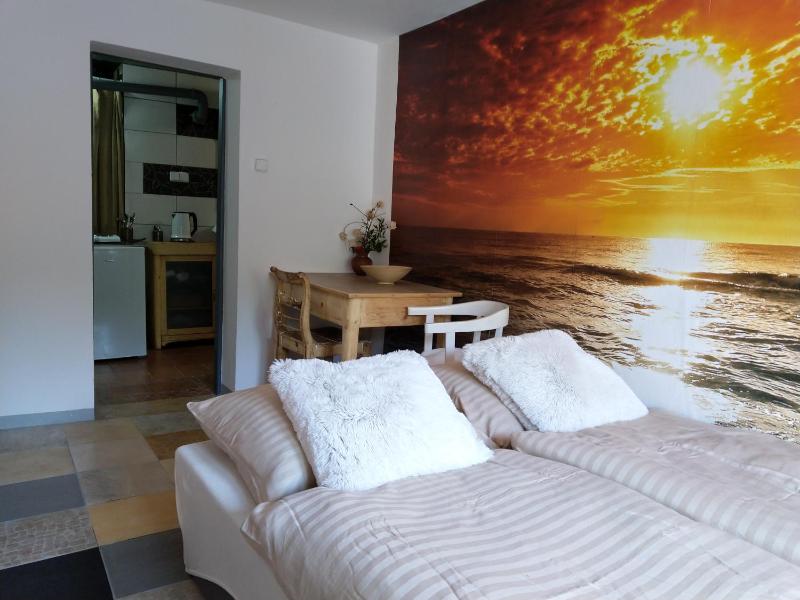 Apartment with Terrace image 3