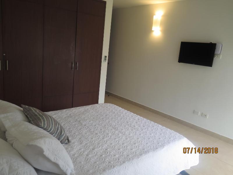 Tamarindo Centro Vip Apartment - image 11