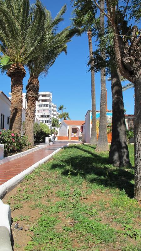 Bungalow (2 Adults + 2 Children) image 3