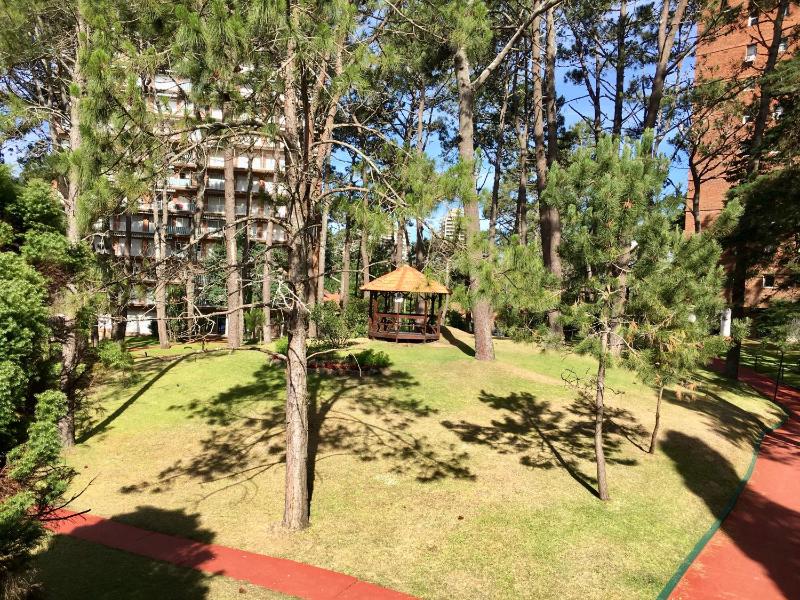 Complejo Arcobaleno - image 19