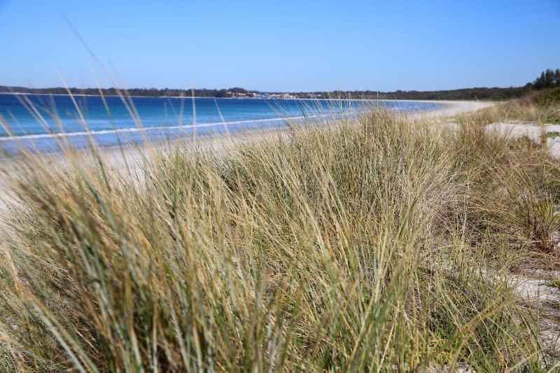 Sandy Toes Beach House Jervis Bay - 2min to Beach - image 24