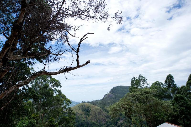Apurvi Homestay - image 3