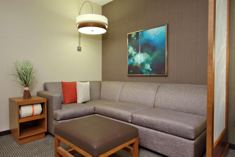 King Room with Sofa Bed and Roll-In Shower - Disability Access image 4