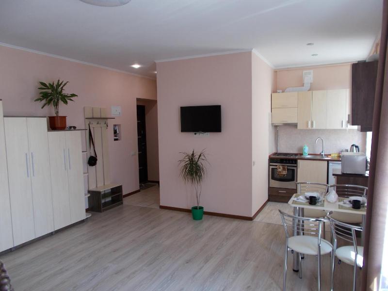 Apartment near the Forum mall - image 1