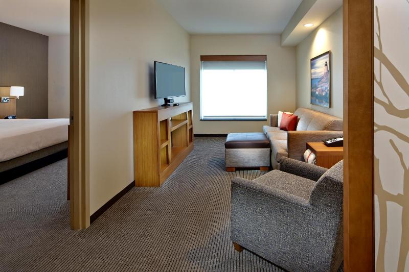 King Suite with Sofa Bed image 1