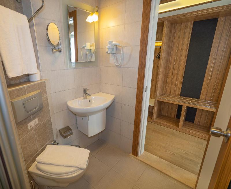 Standard Double or Twin Room image 4