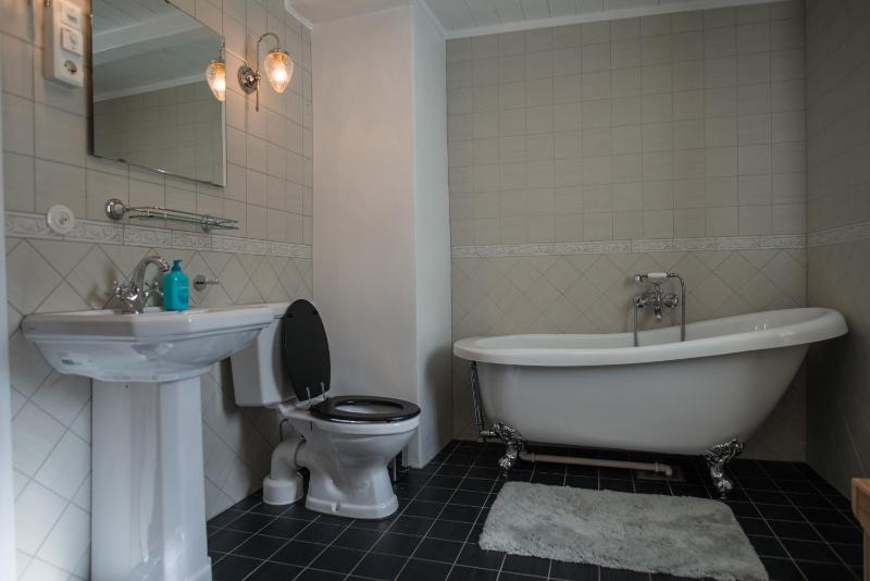 One-Bedroom Apartment image 3