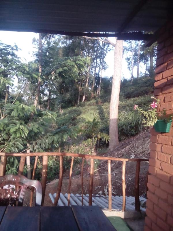 Apurvi Homestay - image 11