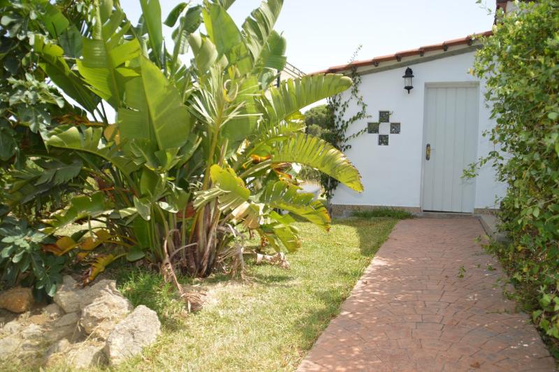 Apartment with Garden View image 4