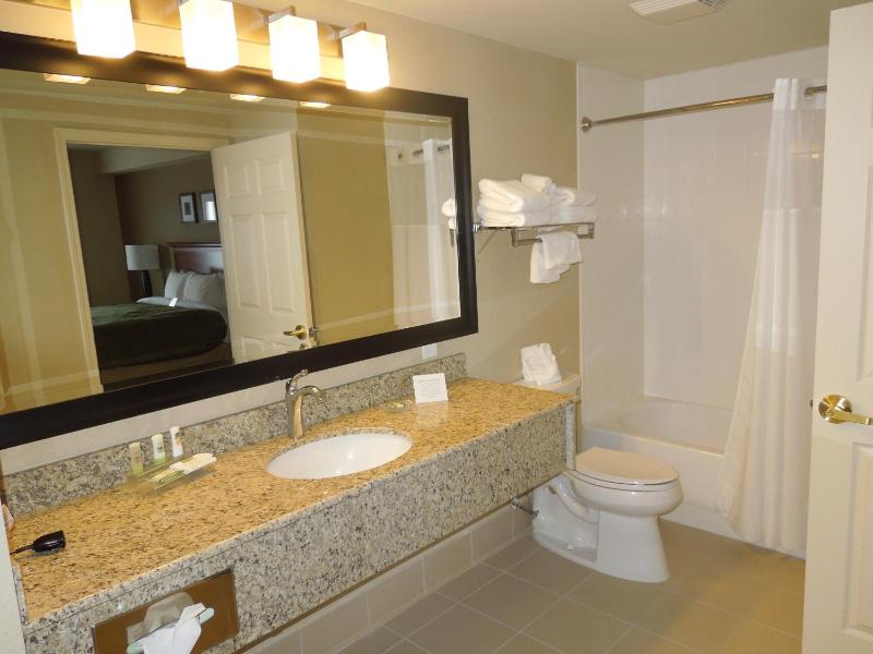 One-Bedroom King Suite with Sofa Bed - Non-Smoking image 3