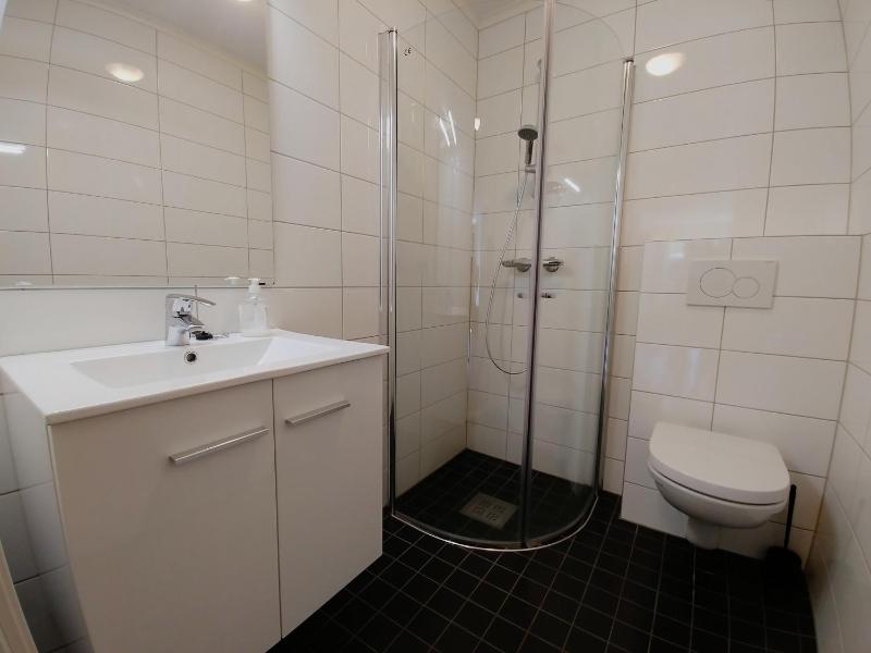 One-Bedroom Apartment image 4