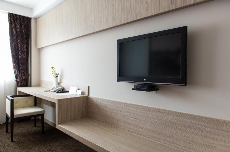 Double or Twin Room image 4