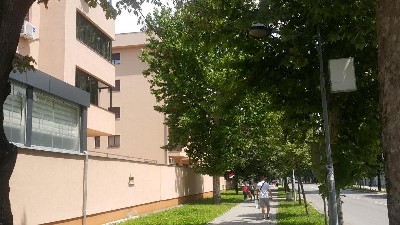 Jelena - image 5