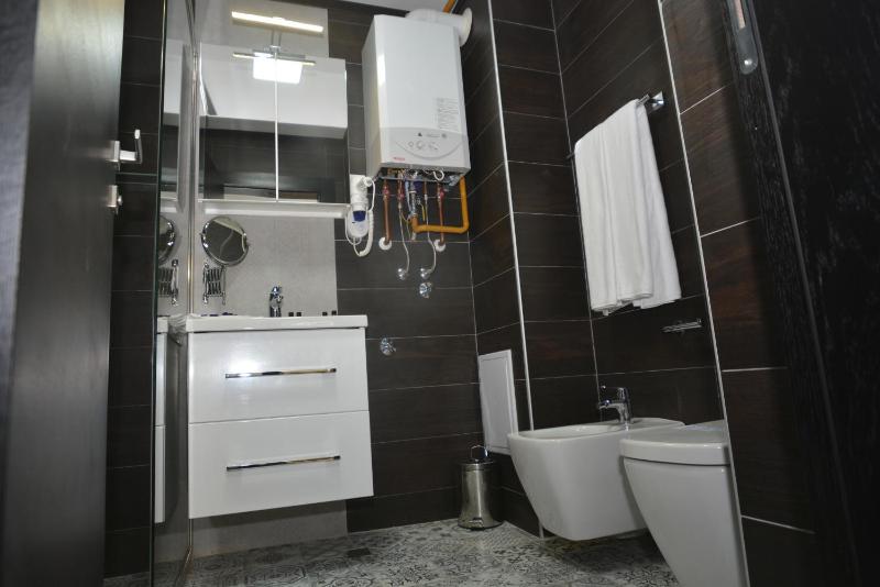 One-Bedroom Apartment image 2