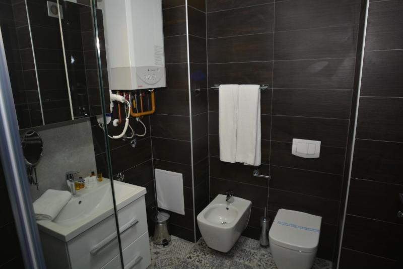 One-Bedroom Apartment image 3