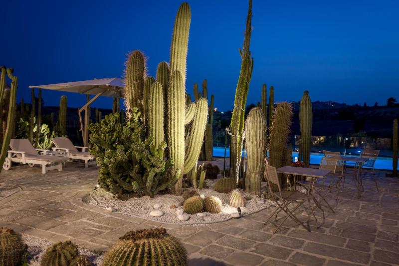 Garden Cactus - image 29