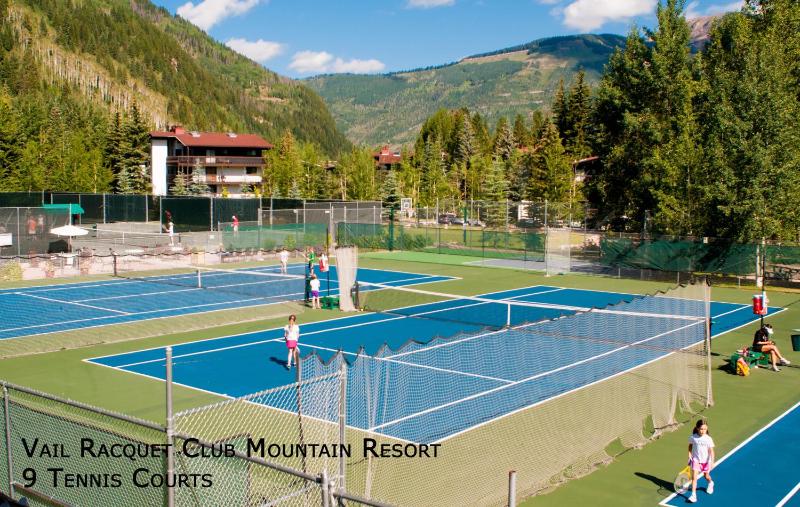 Vail Racquet Club Mountain Resort - image 12