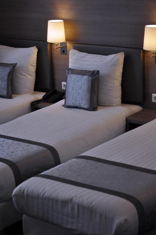 The Concert Hotel - image 7