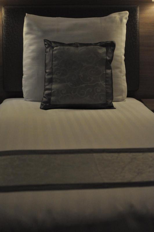 The Concert Hotel - image 2