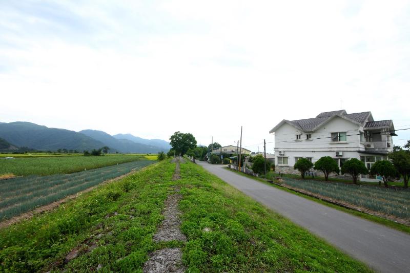 Star House - image 49