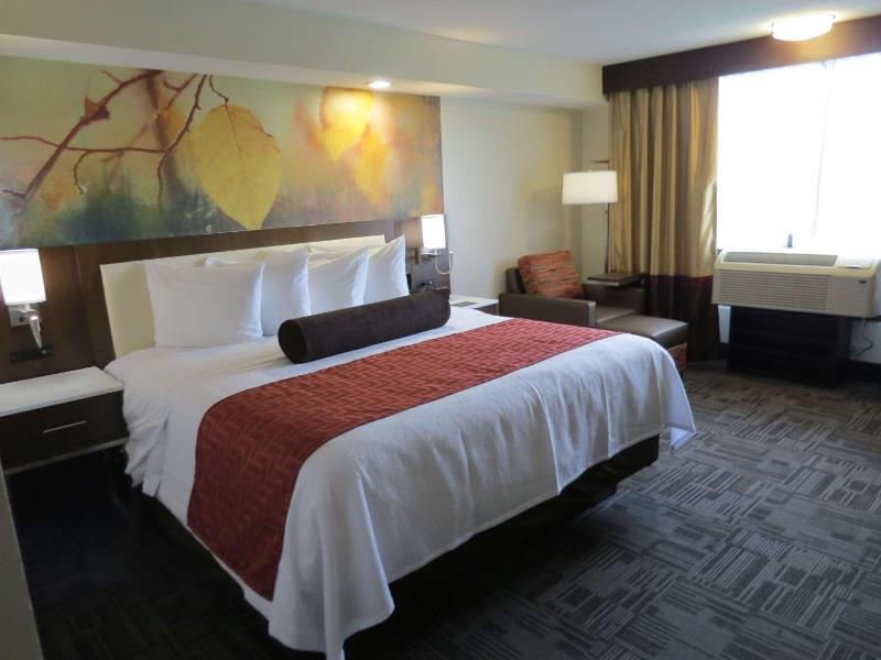 Standard Room image 4