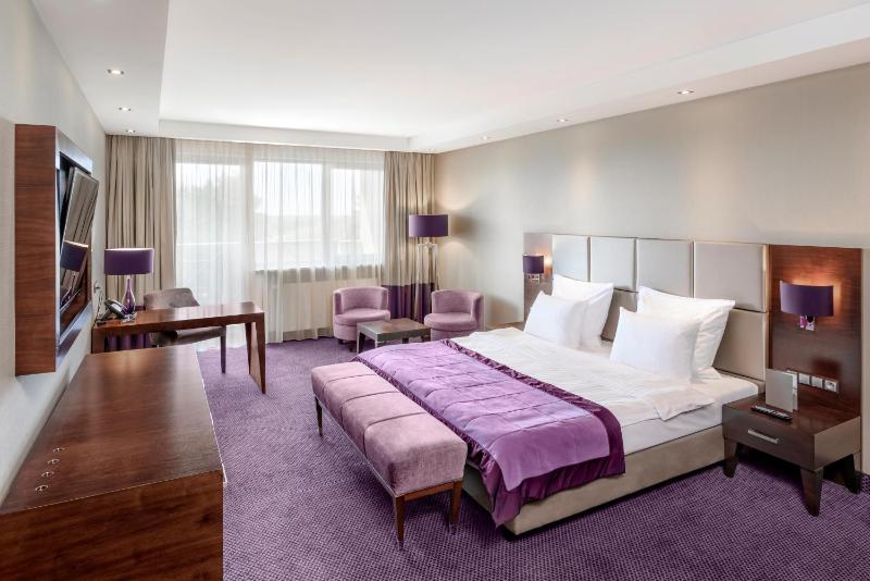 Senior Suite image 4