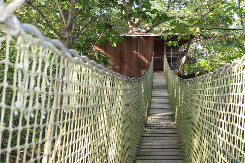 Tree House with Terrace (4 Adults) image 2