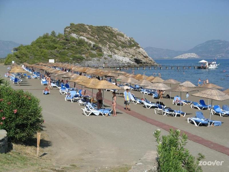 One-Bedroom Apartment image 4