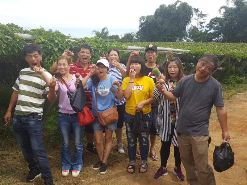 Songfeng Xiuxian Homestay - image 8