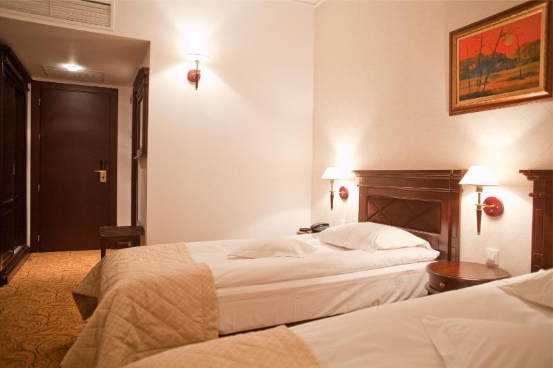 Deluxe Twin Room image 2