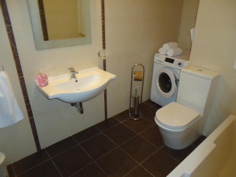 Two-Bedroom Apartment - Second Floor image 4