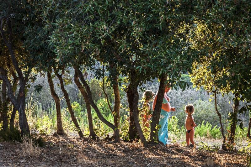 Tenuta Delle Ripalte - image 19
